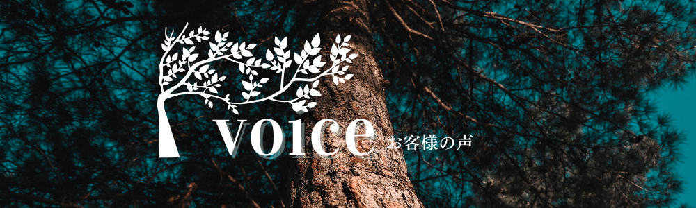 voice